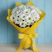 Букет цветов из:  Хризантемы в Кулой