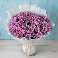 Букет цветов из:  Хризантемы в Кулой