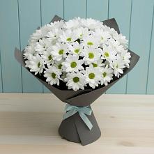 Букет цветов из:  Хризантемы в Кулой
