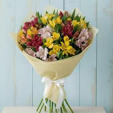 Букет цветов из:  Альстромерии в Кулой