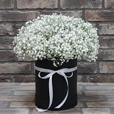 Цветочная композиция из Гипсофила в шляпной коробке в Кулой